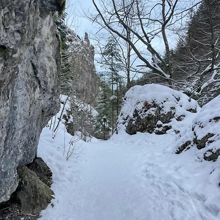 Apartment Z Giewontem W Tle Apart&room