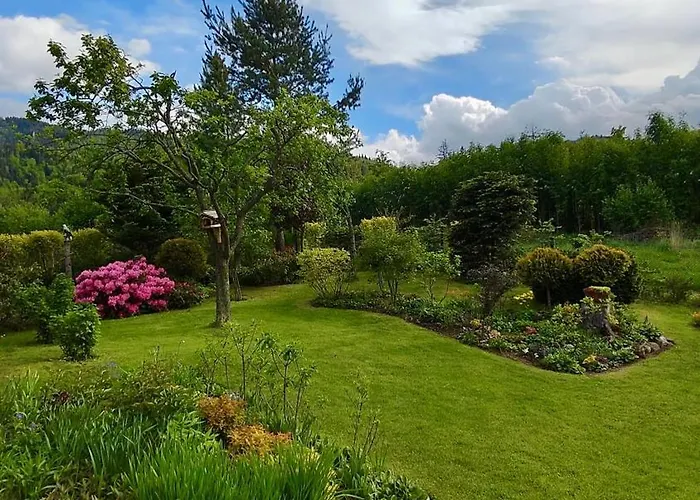 דירה Z Giewontem W Tle Apart&room זקופאנה